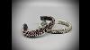 Corkscrew Copper Wire Bracelet Flatwearable Artisan Jewelry