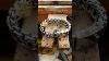 Heavy Sterling Silver Ramses Bracelet Dynamisjewelry Com